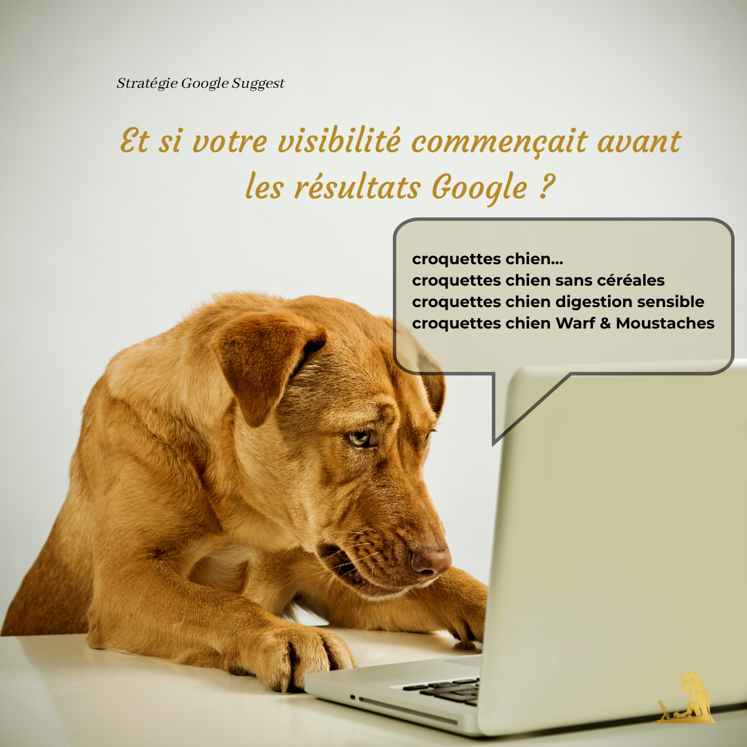 chien-cherche-croquettes-google